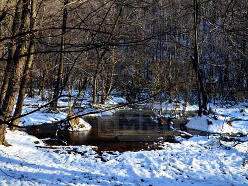 Foto Balta lui Pocol (c) Lucian Petru Goja